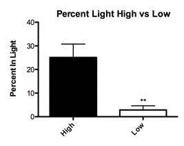 ::Desktop:Bedding Study Figures:Figure 2 Light Dark:Light Dark Box Pups High VS Low Percent.tiff